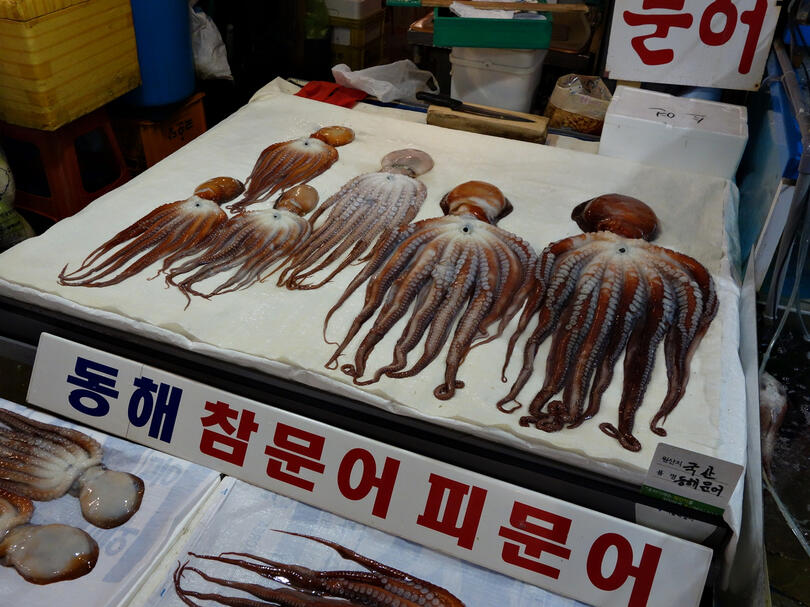 Stomach-Stuffing in Seoul